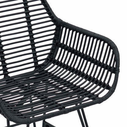 Dining Chair 2 pcs Rattan and Iron Black 55 x 50 x 74 cm