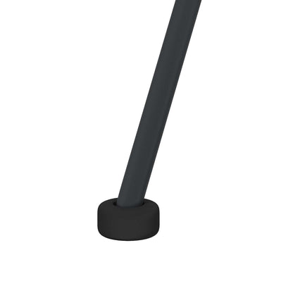 Dining Chair 2 pcs Black 49 x 51 x 81 cm Rattan and Iron