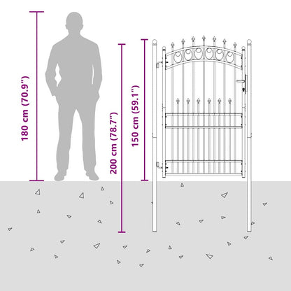 Fence Gate with Spikes EMMEN 200 x 100 cm Powder-coated steel