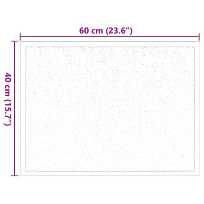 Door Mat Black 60 x 40 x 1.2 cm Teddy Fabric