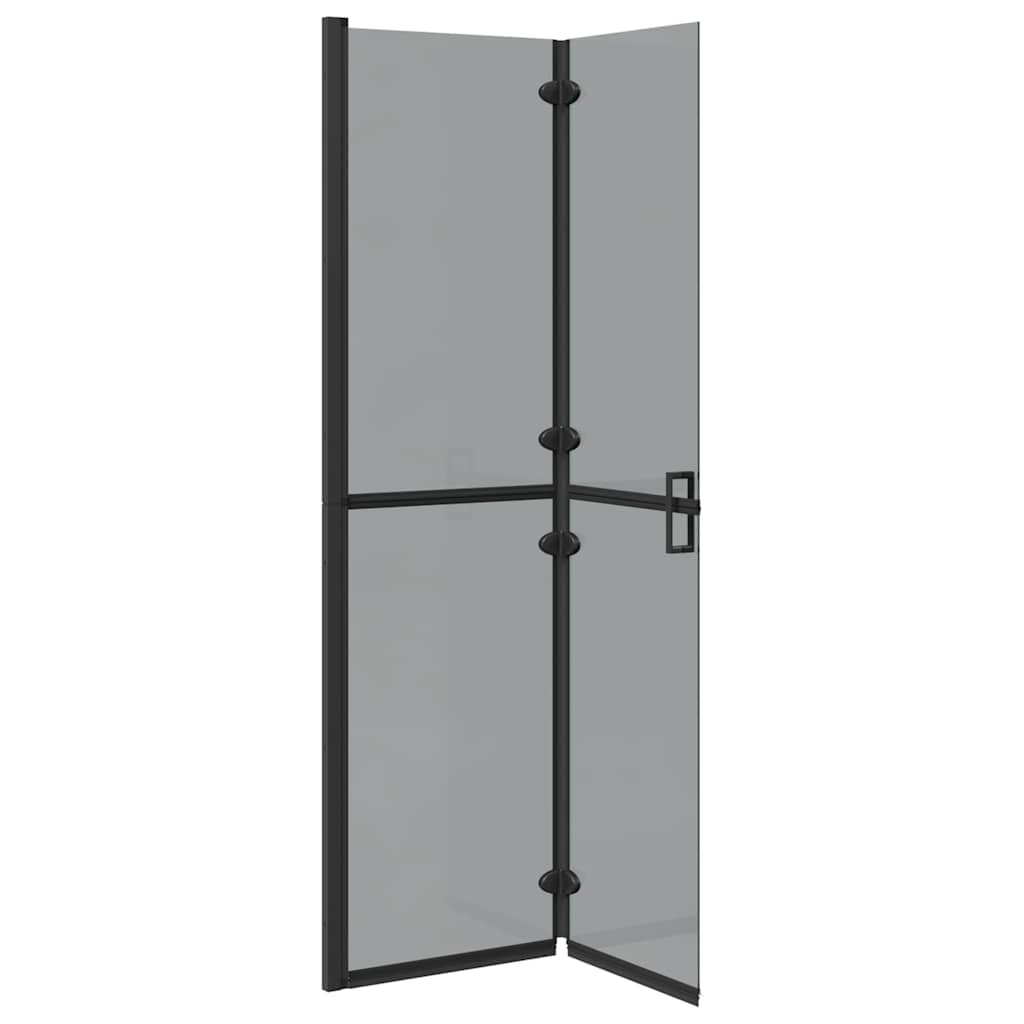 Walk-In Shower Wall Folding Black 100 x 6.5 x 190 cm