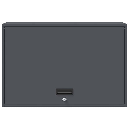 Wall Cabinet for Garage with Gas-lift Door Anthracite