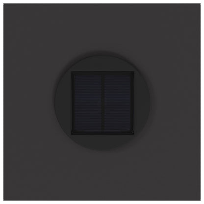 Solar Led Pathway Light 2 pcs Black Cold Rolled Steel