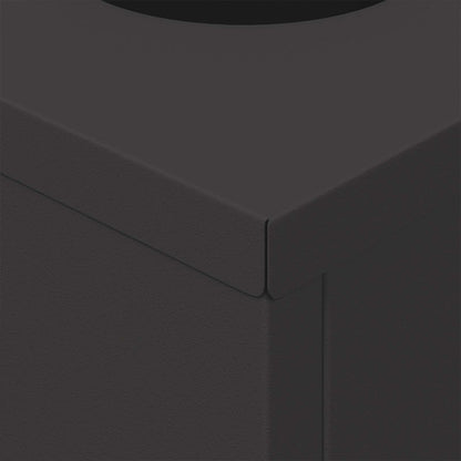 Solar LED Pathway Light 2 pcs Black Cold Rolled Steel