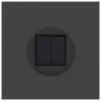 Solar LED Pathway Light 2 pcs Black Cold Rolled Steel