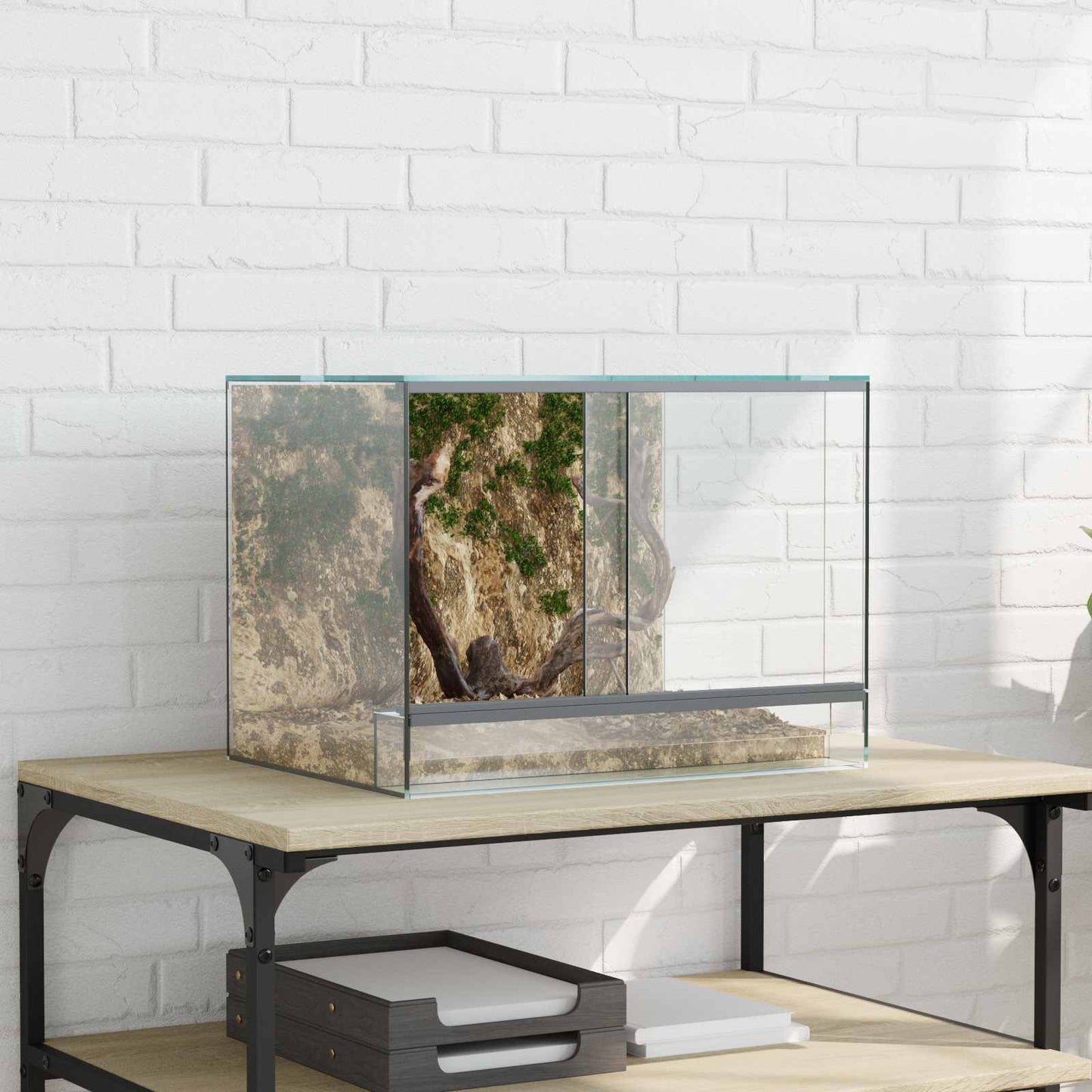 Terrarium with Storage Transparent 40 x 30 x 30 cm Glass
