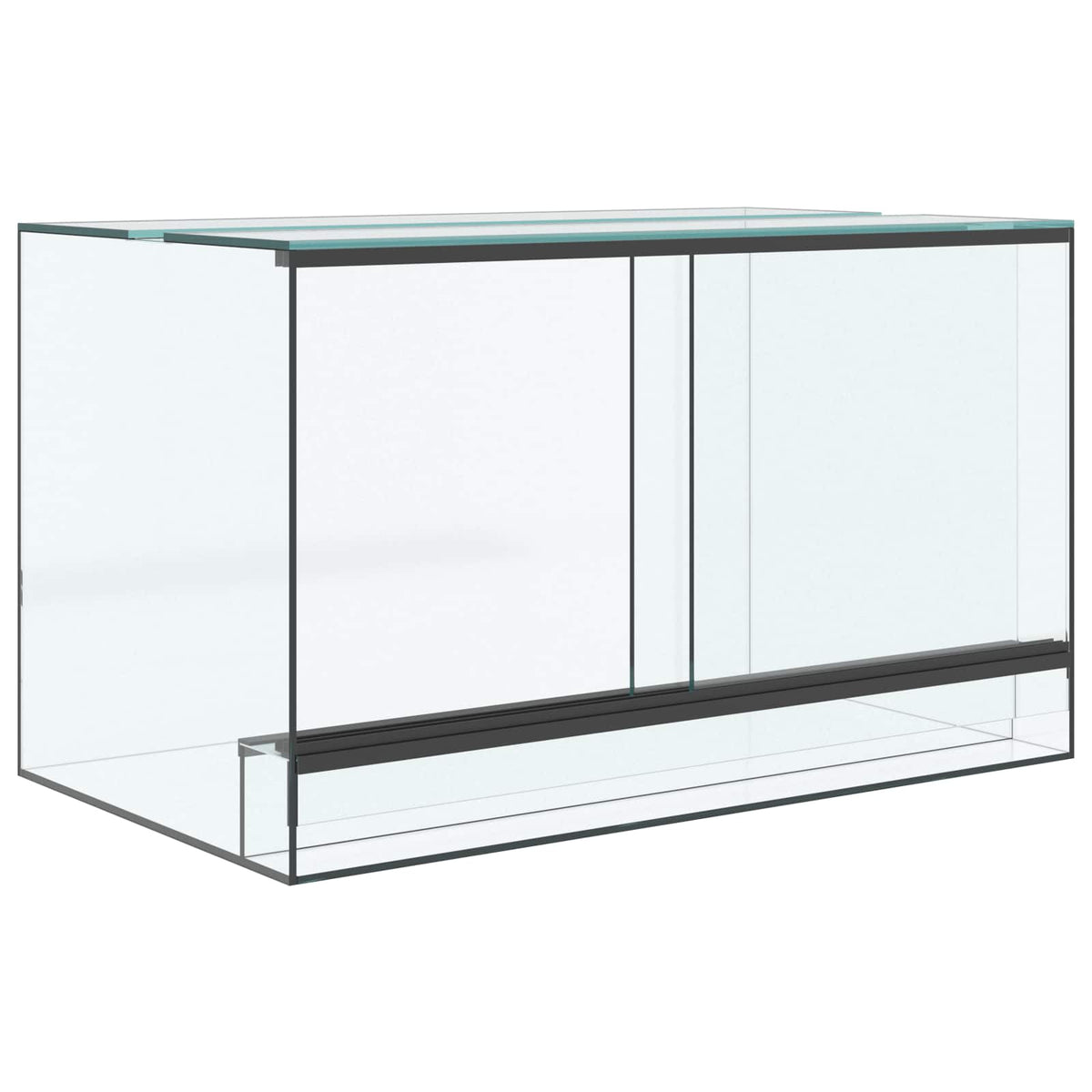 Terrarium with Storage Transparent 50 x 30 x 30 cm Glass