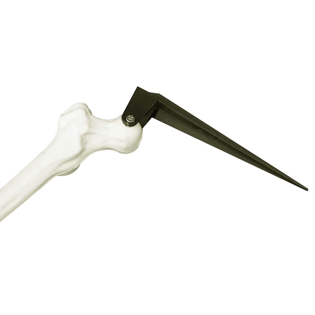 Halloween Skeleton with Ground Spikes White 45.5 x 13 cm