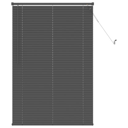 Venetian Blind Silver Grey 150 x 80 cm PVC