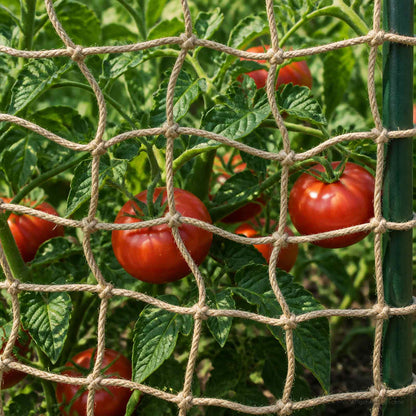 Jute Plant Support Netting Natural 2 x 50 m 100% Tossa Jute