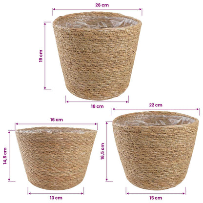 Seagrass Plant Baskets 3 pcs Natural Ø26 x 19 cm 100% Seagrass