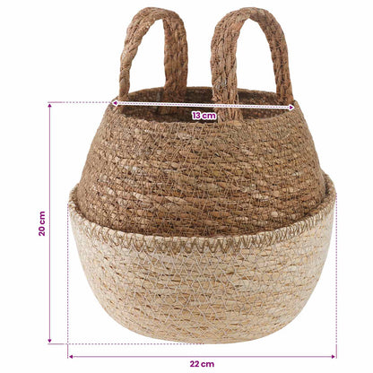 Plant Pot with Handles 2 pcs White Ø 22 x 20 cm 100% Seagrass