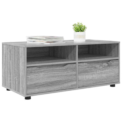 TV Cabinet Grey Sonoma 100 x 48 x 43 cm Engineered Wood