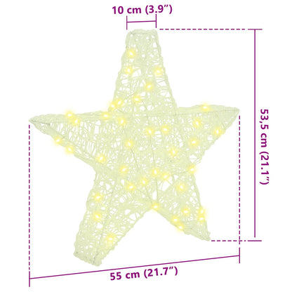 3D Star with 50 LEDs Warm white 55 x 53.5 x 10 cm Acrylic