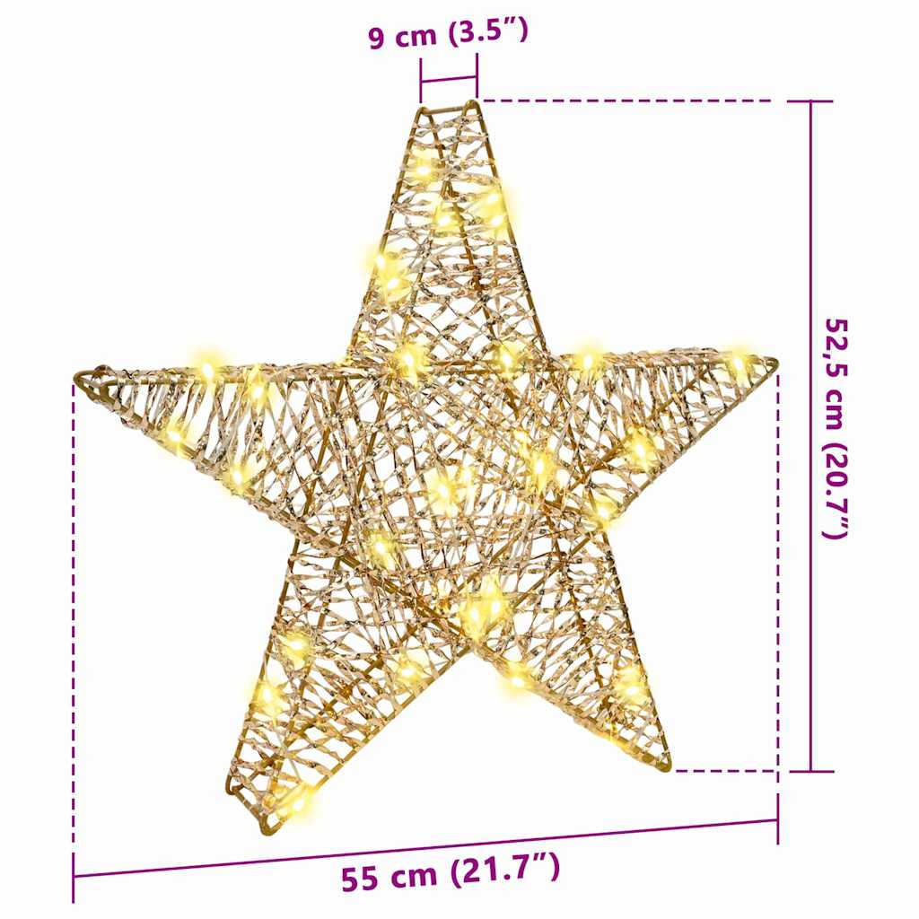 3D Star 50 LEDs Warm white 55 x 52.5 x 9 cm PET