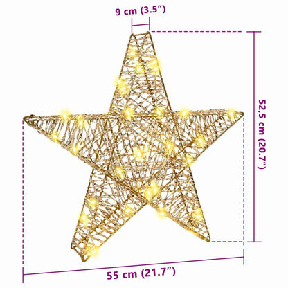 3D Star 50 LEDs Warm white 55 x 52.5 x 9 cm PET