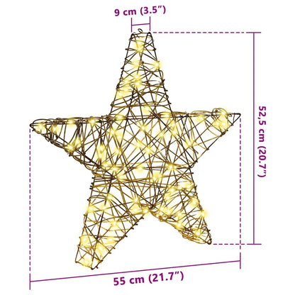 3D Star 50 LEDs Warm white 55 x 52.5 x 9 cm Rattan