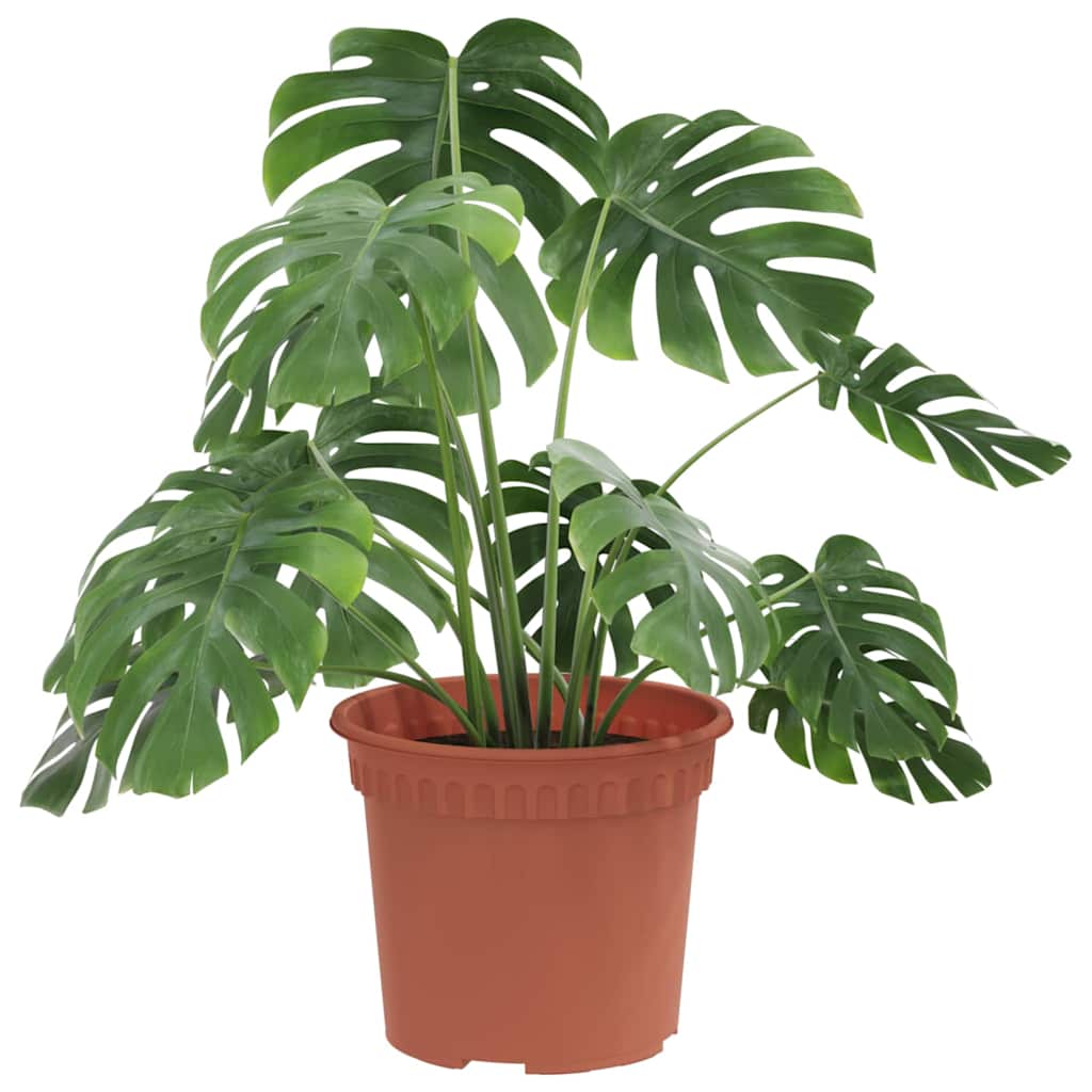 Round Flower Pot 6 pcs Brick Red Ø 12.5 x 10 cm Plastic