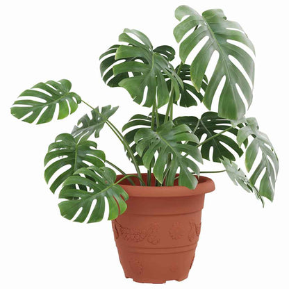 Round Flower Pot 24 pcs Brick Red Ø 22 x 18 cm Plastic