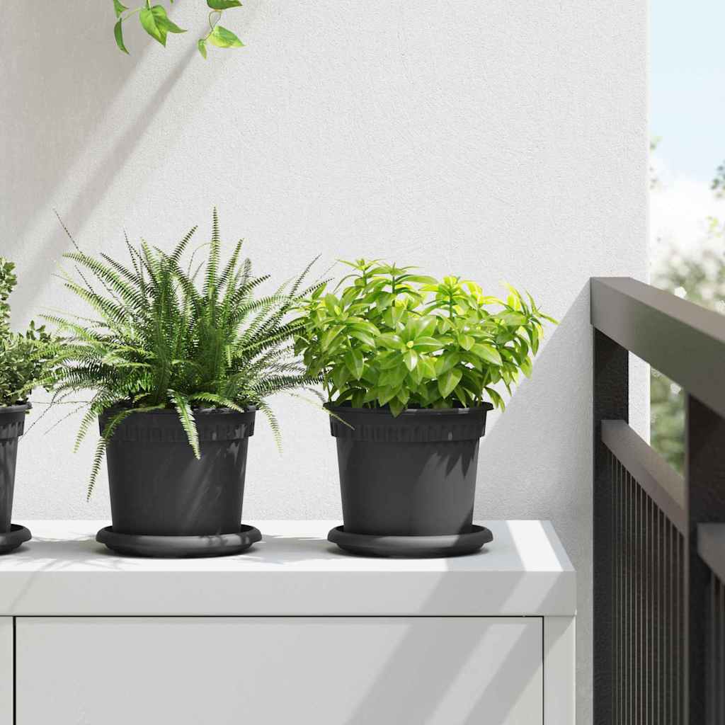 Round Flower Tray 6 pcs Black Ø 14 x 2 cm Plastic