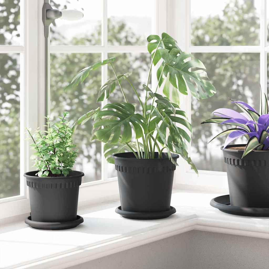 Round Flower Tray 6 pcs Black Ø 15.5 x 2 cm Plastic