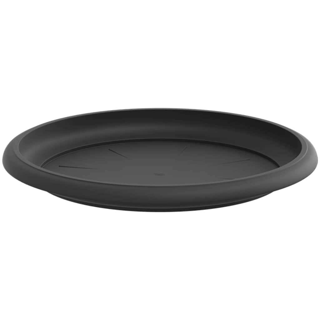 Round Flower Tray 24 pcs Black Ø 19 x 2 cm Plastic