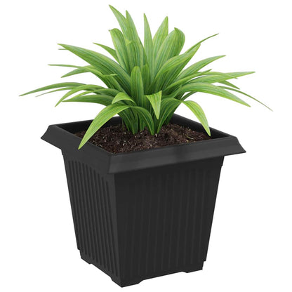 Square Flower Pot 6 pcs Black 16 x 16 x 14 cm Plastic