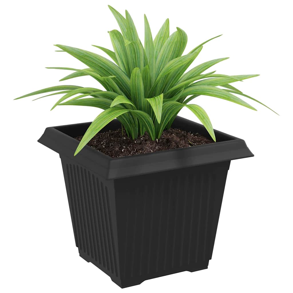 Square Flower Pot 6 pcs Black 20 x 20 x 16 cm Plastic