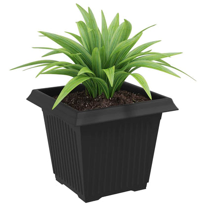 Square Flower Pot 6 pcs Black 20 x 20 x 16 cm Plastic