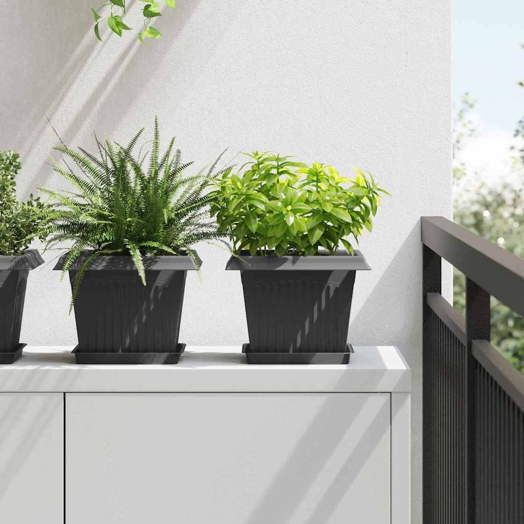 Square Flower Tray 6 pcs Black 18 x 18 x 2 cm Plastic
