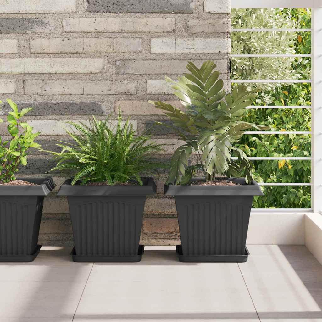 Square Flower Tray 6 pcs Black 21 x 21 x 2 cm Plastic