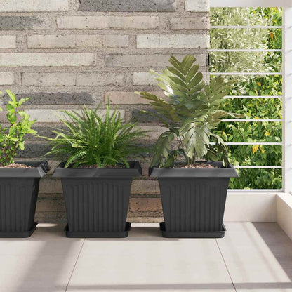 Square Flower Tray 6 pcs Black 21 x 21 x 2 cm Plastic