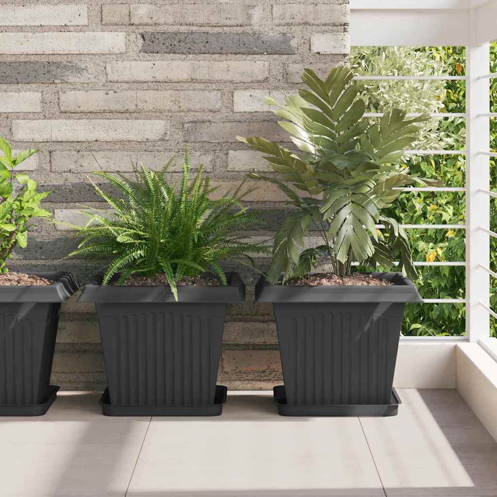 Square Flower Tray 6 pcs Black 25.5 x 25.5 x 2.5 cm Plastic