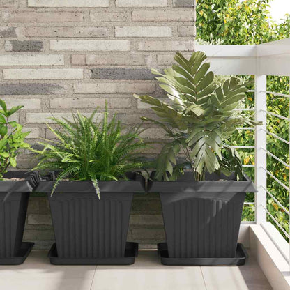 Square Flower Tray 24 pcs Black 36 x 36 x 2.5 cm Plastic