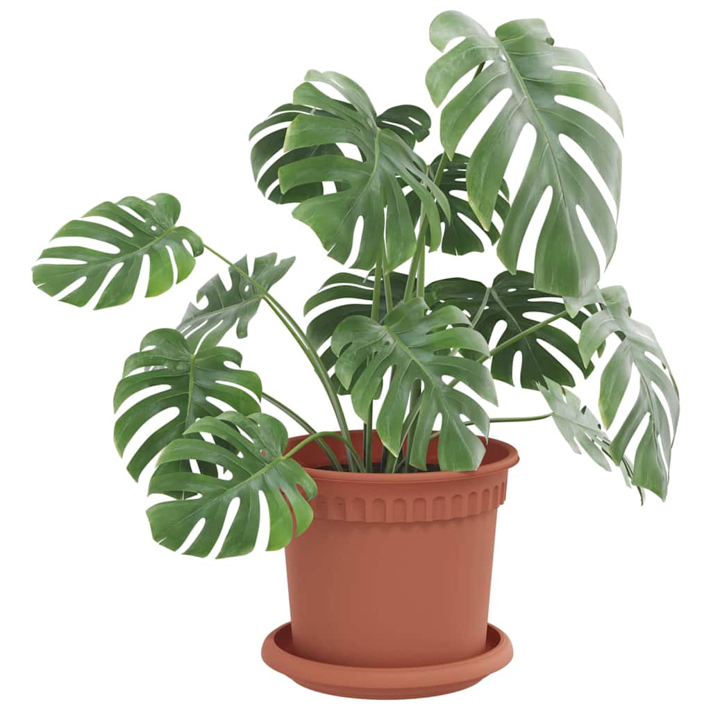 Plant Pots 6 pcs Brick Red Ø 15 x 12 cm Plastic