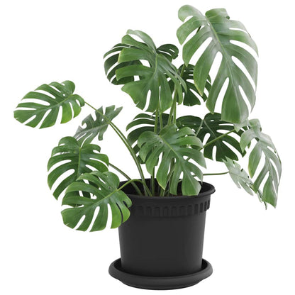 Plant Pots 24 pcs Black Ø 15 x 12 cm Plastic