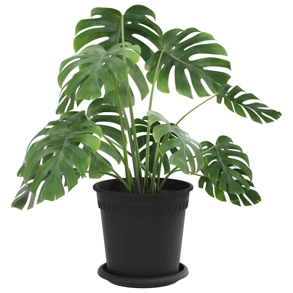 Plant Pots 24 pcs Black Ø 17 x 14 cm Plastic