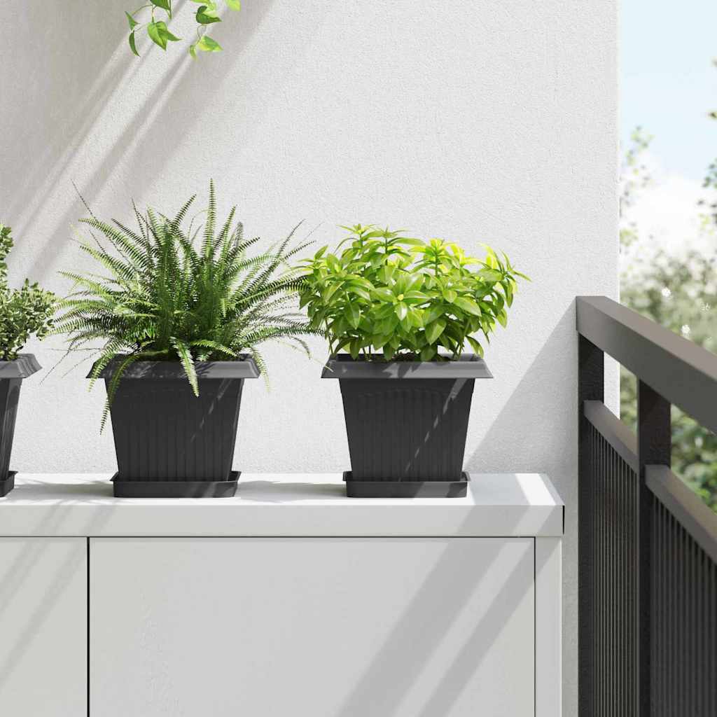 Plant Pots 6 pcs Black Plastic