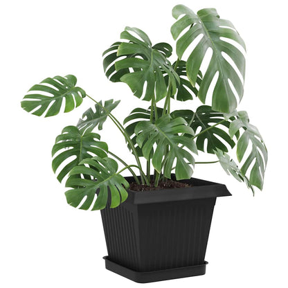 Plant Pots 6 pcs Black Plastic