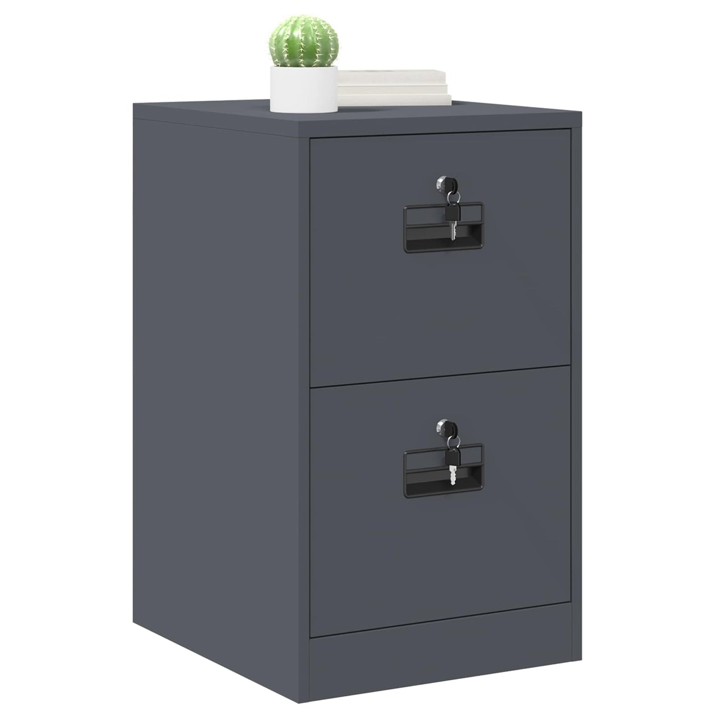 File Cabinet Anthracite 44 x 50 x 74.5 cm Cold-Rolled Steel