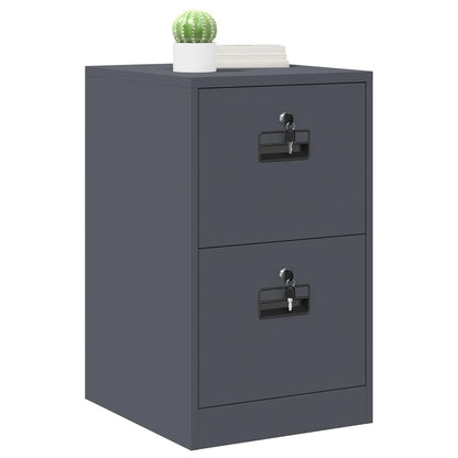 File Cabinet Anthracite 44 x 50 x 74.5 cm Cold-Rolled Steel