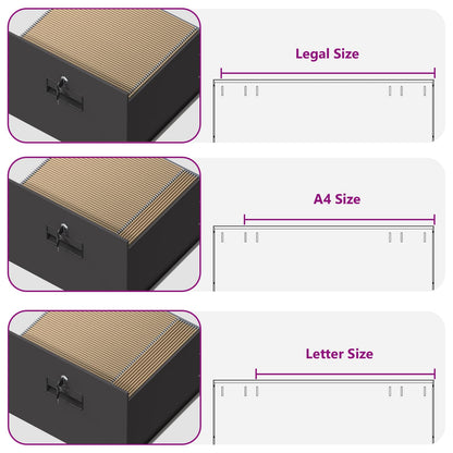 File Cabinet Black 45.5 x 42 x 74.5 cm Cold-Rolled Steel