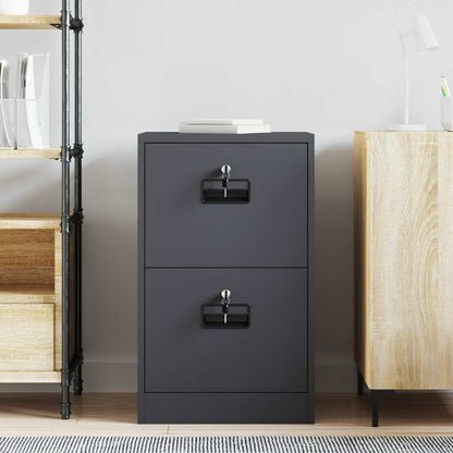 File Cabinet Anthracite 45.5 x 42 x 74.5 cm Cold-Rolled Steel