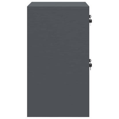 File Cabinet Anthracite 45.5 x 42 x 74.5 cm Cold-Rolled Steel