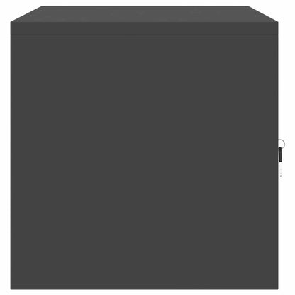 Storage Cabinet Black 80 x 40 x 40 cm Steel
