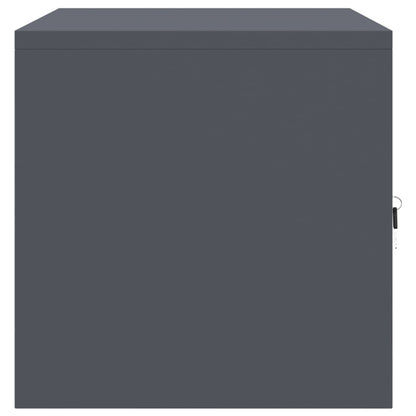 Storage Cabinet Anthracite 80 x 40 x 40 cm Steel
