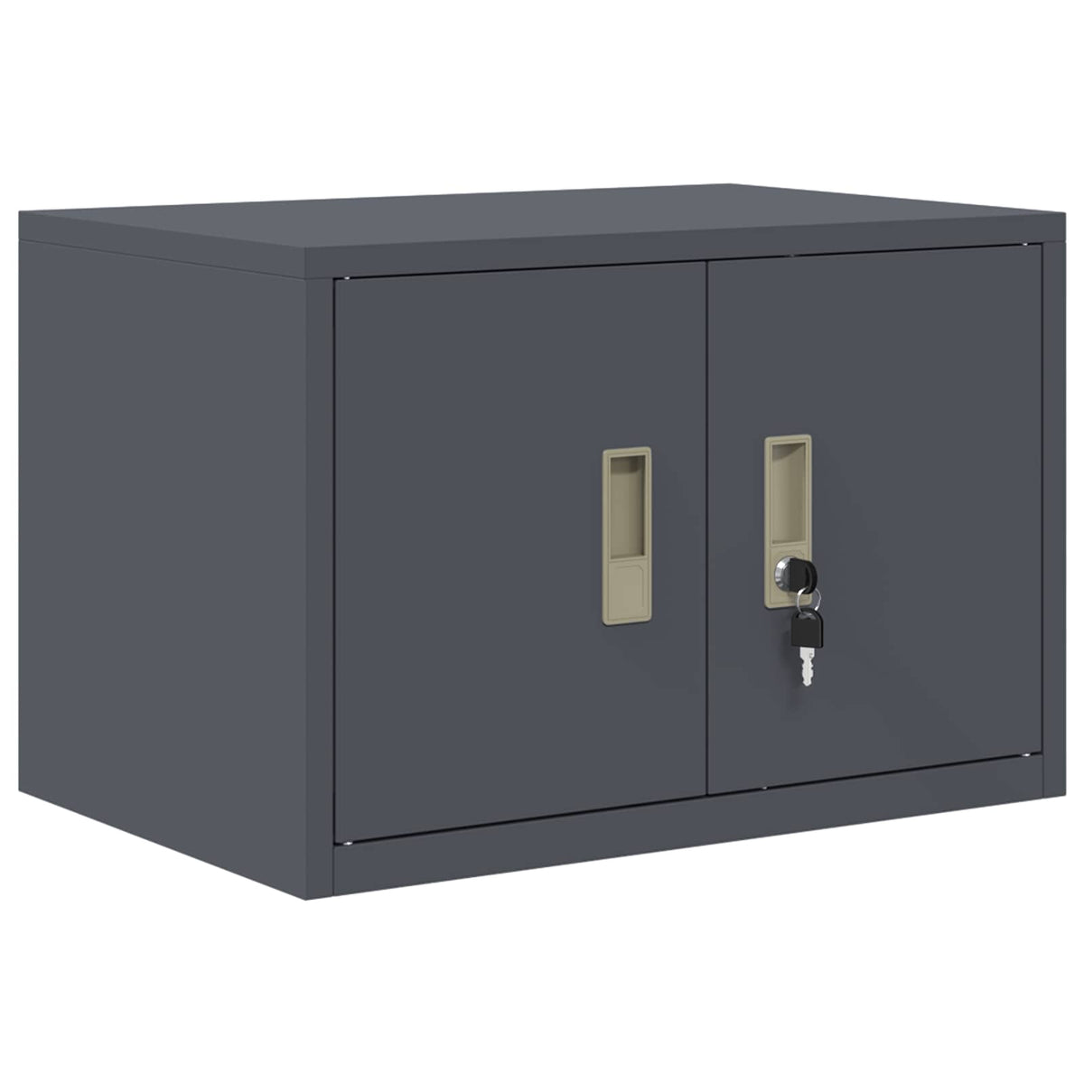 Storage Cabinet Anthracite 60 x 40 x 40 cm Steel