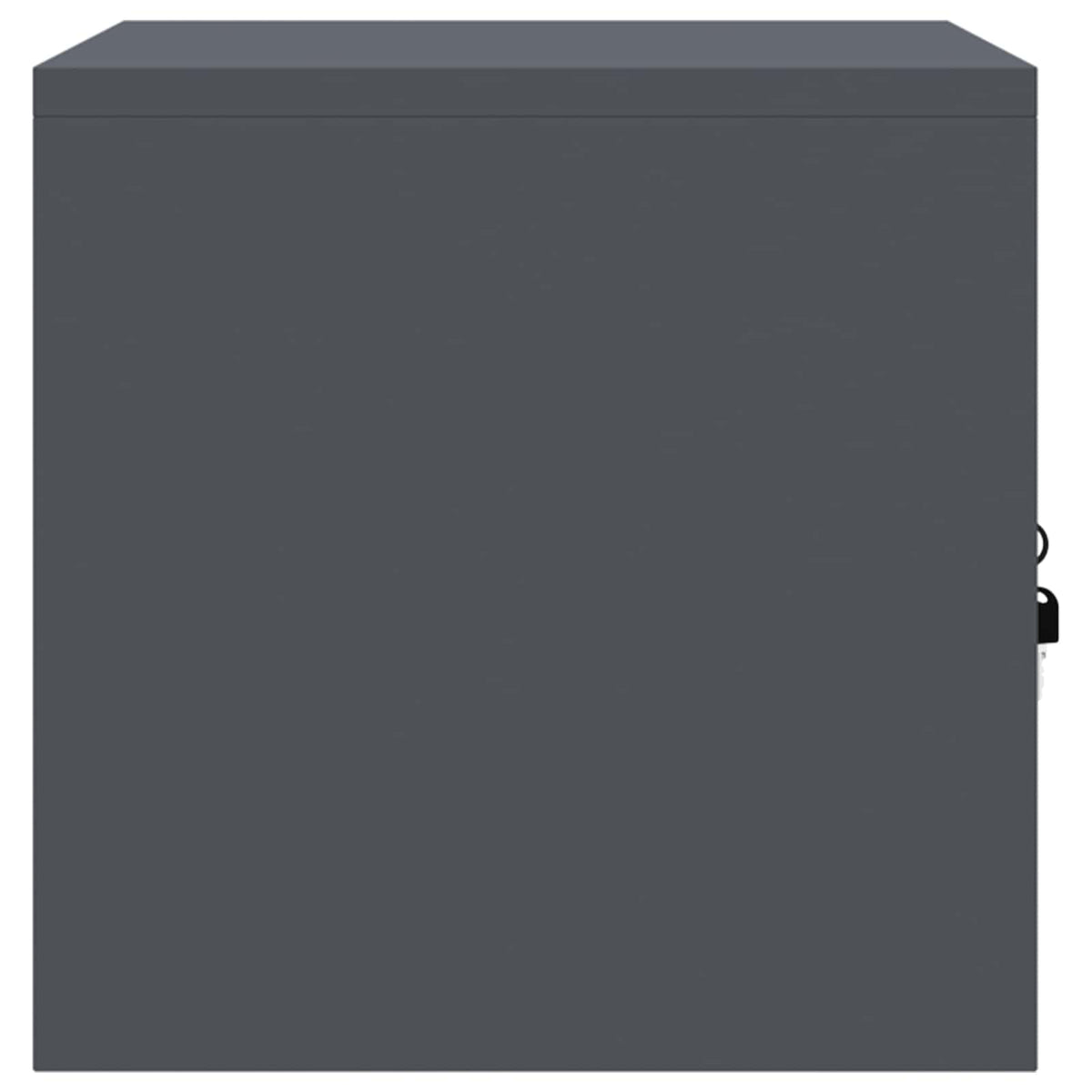 Storage Cabinet Anthracite 60 x 40 x 40 cm Steel