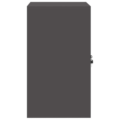 Storage Cabinet Black 60 x 40 x 70 cm Steel