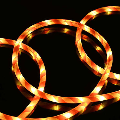 Rope Light with 240 LEDs Warm White 10 m PVC